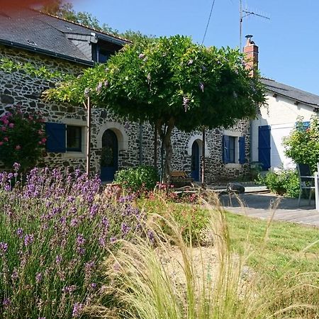 Murmures De Loire Montjean-sur-Loire Exterior foto