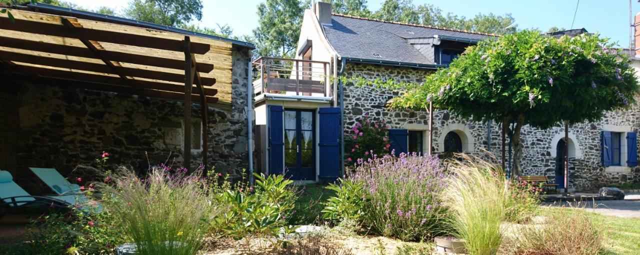 Murmures De Loire Montjean-sur-Loire Exterior foto