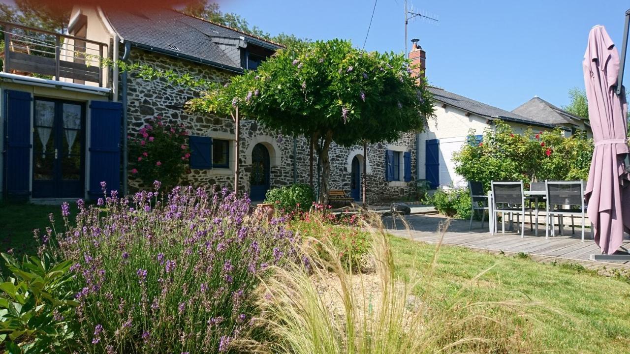 Murmures De Loire Montjean-sur-Loire Exterior foto